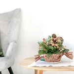 Bed & Breakfast Vista